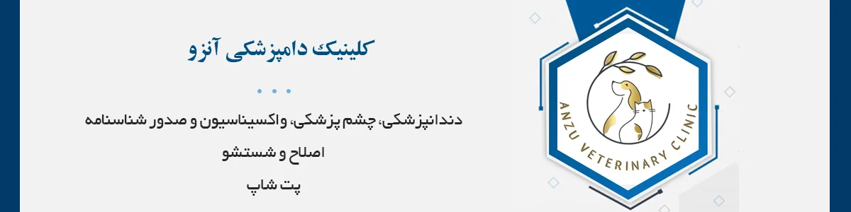 دندانپزشکی، چشم‌پزشکی، واکسیناسیون، عقیم سازی، ارتوپدی، جرم‌گیری، کاشت‌میکروچیپ، صدور شناسنامه‌، اصلاح و شستشو و...