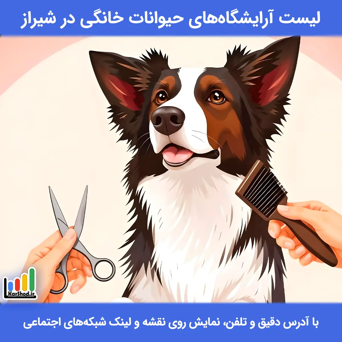 لیست آرایشگاه های حیوانات خانگی در شیراز همراه با آدرس و تلفن بهترین آرایشگاه حیوانات خانگی در شیراز