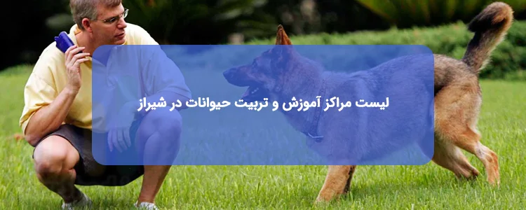 آموزش و تربیت حیوانات در شیراز