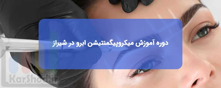 دوره آموزش میکروپیگمنتیشن ابرو در شیراز دوره آموزش میکروپیگمنتیشن ابرو در شیراز