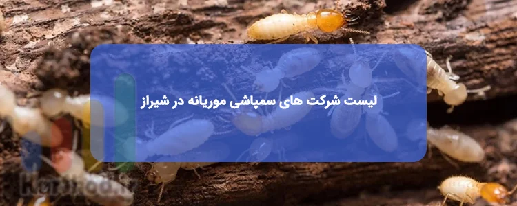 سمپاشی موریانه در شیراز | لیست بهترین شرکت ها + تلفن
