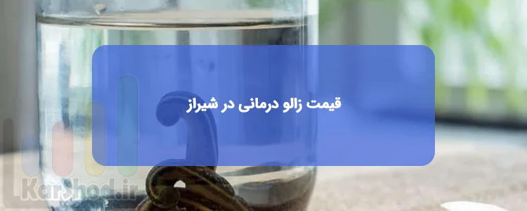 قیمت زالو درمانی در شیراز قیمت زالو درمانی در شیراز
