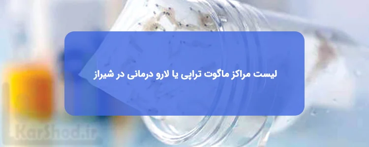ماگوت تراپی یا لارو درمانی در شیراز