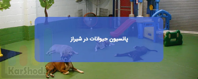 پانسیون حیوانات در شیراز