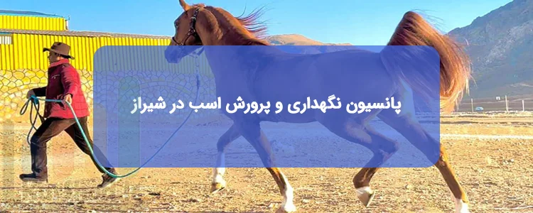 پانسیون نگهداری و پرورش اسب در شیراز