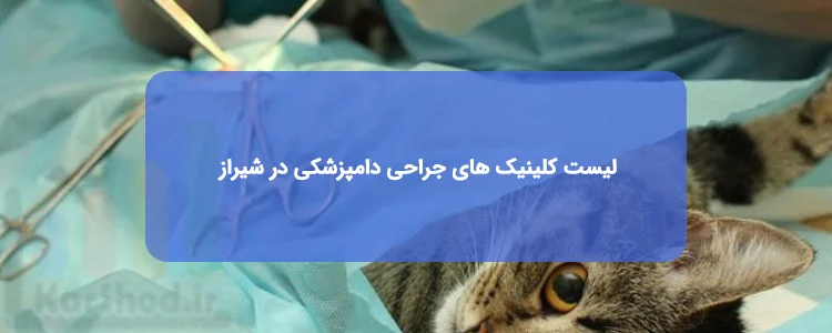 کلینیک جراحی دامپزشکی در شیراز