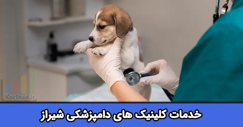 کلینیک دامپزشکی در شیراز