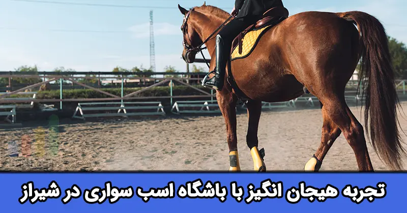 باشگاه سوارکاری در شیراز