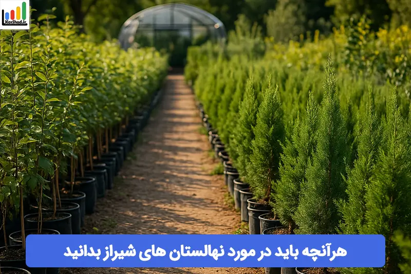 نهالستان در شیراز نهالستان در شیراز