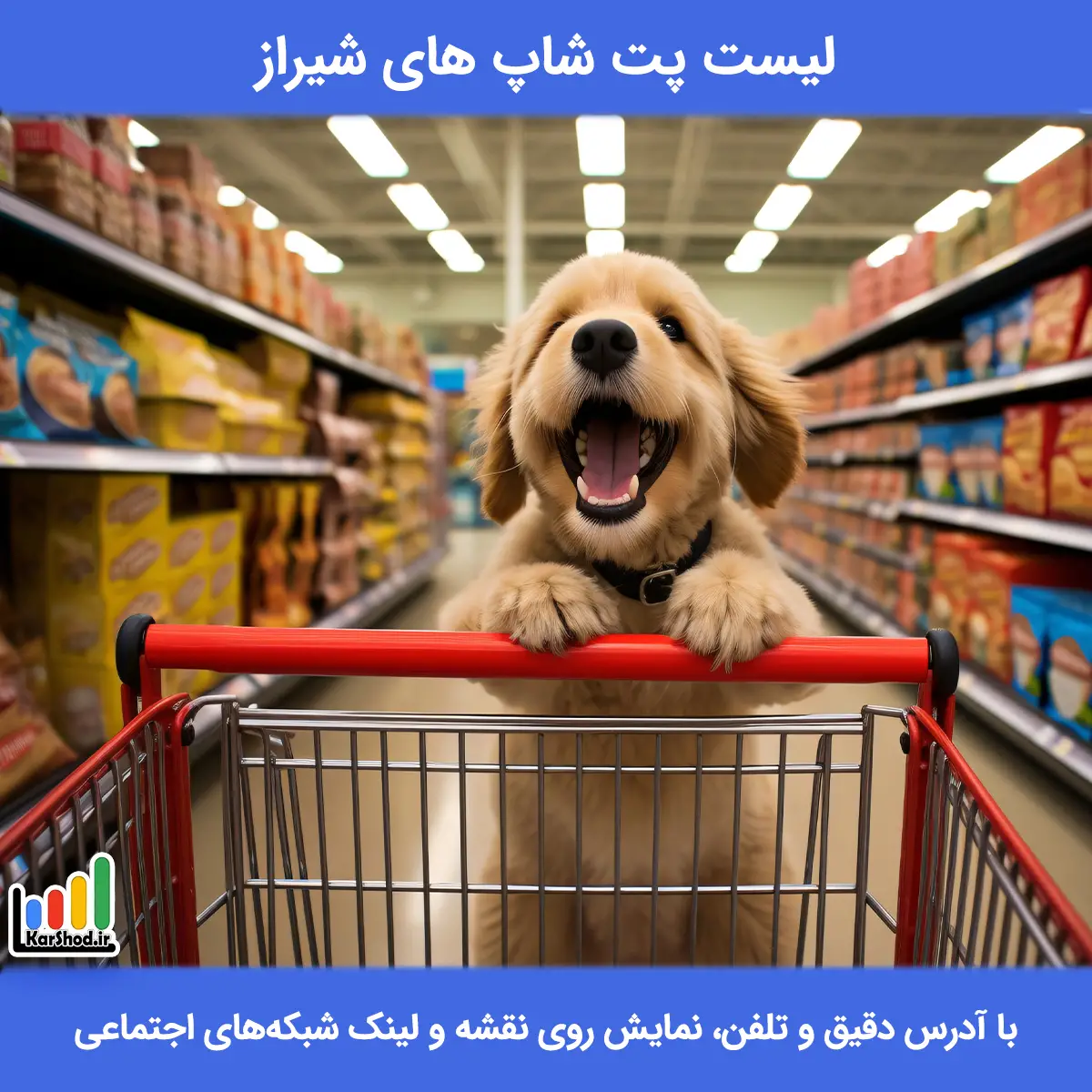 لیست پت شاپ های شیراز همراه با آدرس و تلفن پت شاپ شیراز