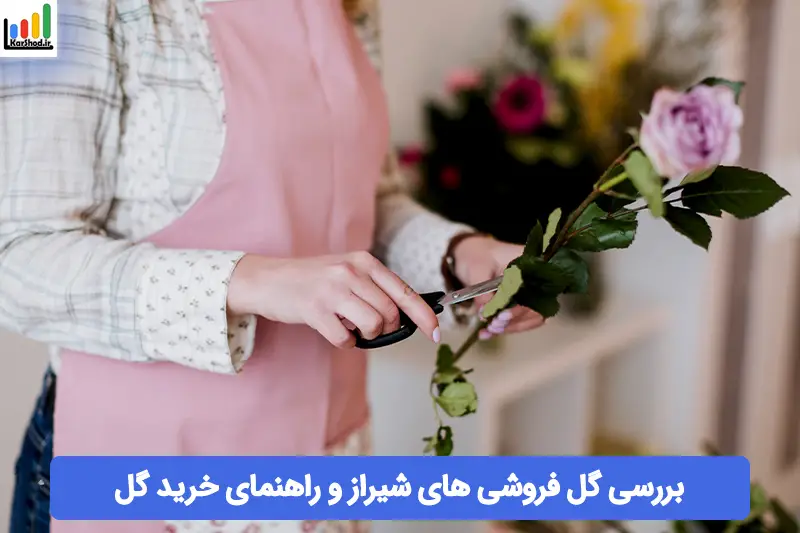 گل فروشی در شیراز گل فروشی در شیراز