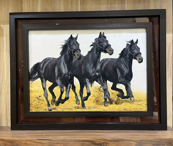 عکس های گالری فرش اسلامی فر عکس های گالری فرش اسلامی فر