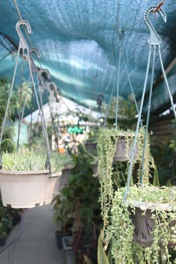 عکس های مجتمع آموزشی علم و صنعت عکس های مجتمع آموزشی علم و صنعت