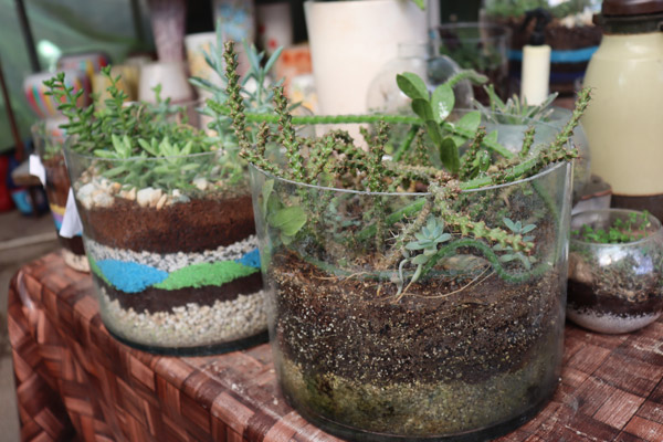 عکس های مجتمع آموزشی علم و صنعت عکس های مجتمع آموزشی علم و صنعت