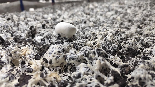 عکس های مجتمع آموزشی علم و صنعت عکس های مجتمع آموزشی علم و صنعت