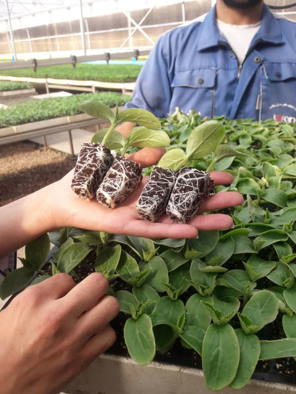 عکس های مجتمع آموزشی علم و صنعت عکس های مجتمع آموزشی علم و صنعت