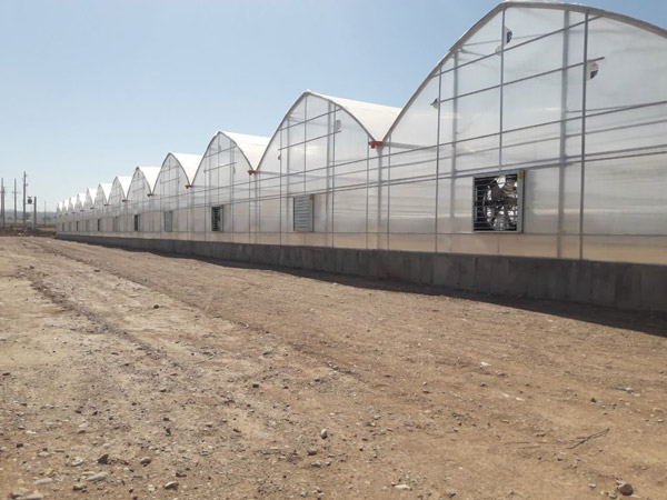 عکس های مجتمع آموزشی علم و صنعت عکس های مجتمع آموزشی علم و صنعت