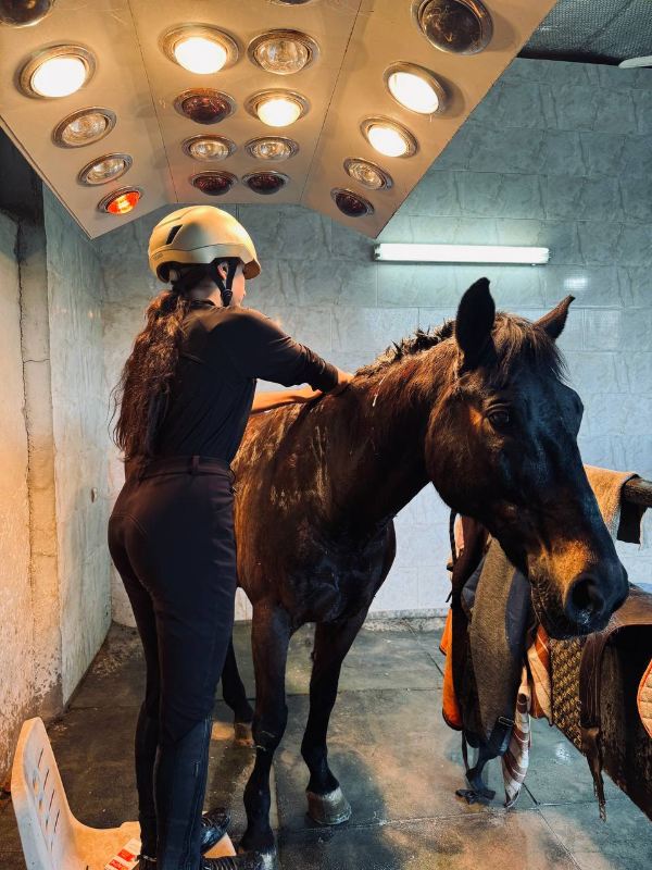 عکس های باشگاه سوارکاری آفتاب عکس های باشگاه سوارکاری آفتاب