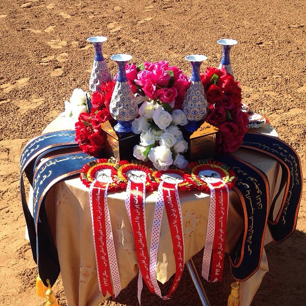 عکس های باشگاه سوارکاری ملل عکس های باشگاه سوارکاری ملل