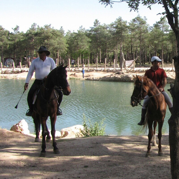 عکس های باشگاه سوارکاری ملل عکس های باشگاه سوارکاری ملل