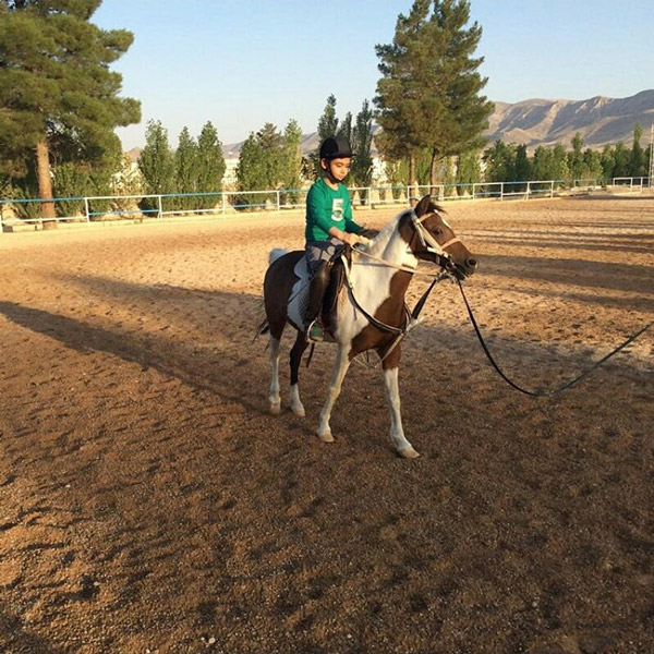 عکس های باشگاه سوارکاری ملل عکس های باشگاه سوارکاری ملل