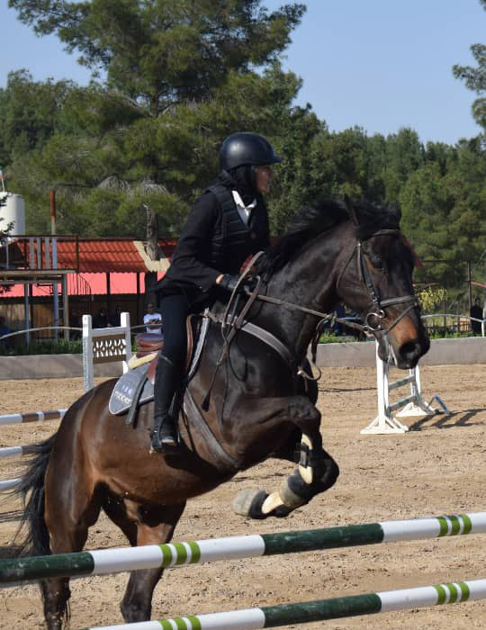 عکس های باشگاه سوارکاری ملل عکس های باشگاه سوارکاری ملل