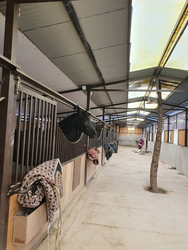 عکس های باشگاه سوارکاری ملل عکس های باشگاه سوارکاری ملل