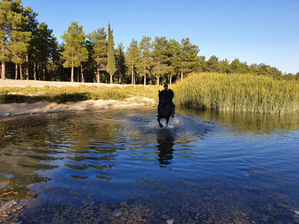 عکس های باشگاه سوارکاری ملل عکس های باشگاه سوارکاری ملل