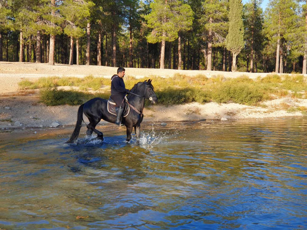 عکس های باشگاه سوارکاری ملل عکس های باشگاه سوارکاری ملل