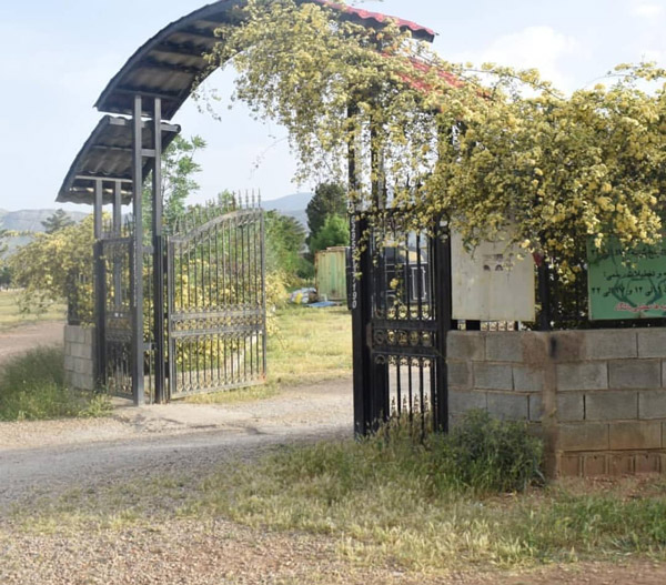 عکس های باشگاه سوارکاری ملل عکس های باشگاه سوارکاری ملل