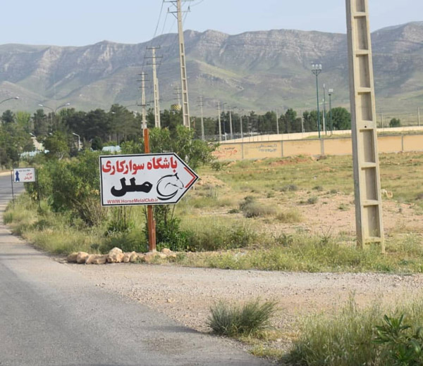 عکس های باشگاه سوارکاری ملل عکس های باشگاه سوارکاری ملل