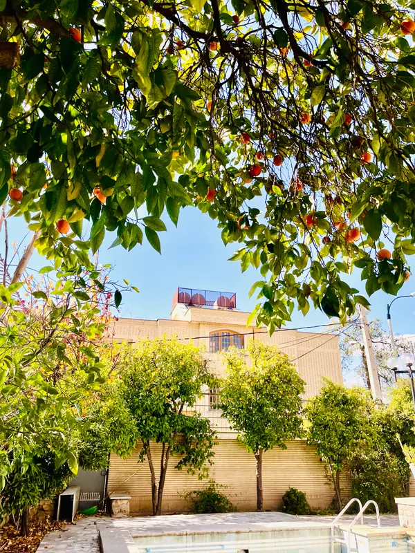 عکس های پانسیون مطالعاتی دخترانه مینو عکس های پانسیون مطالعاتی دخترانه مینو