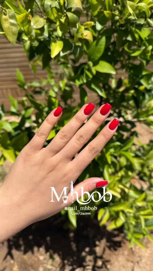 عکس های مرکز کاشت ناخن محبوب عکس های مرکز کاشت ناخن محبوب