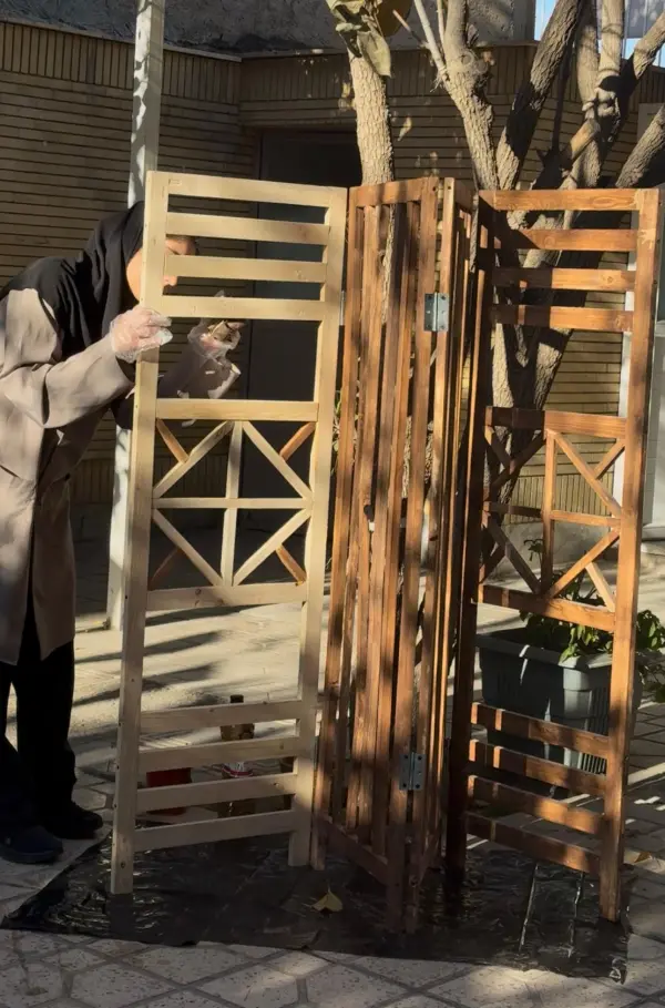 عکس های هنرستان غیردولتی دخترانه پرتوهنر عکس های هنرستان غیردولتی دخترانه پرتوهنر