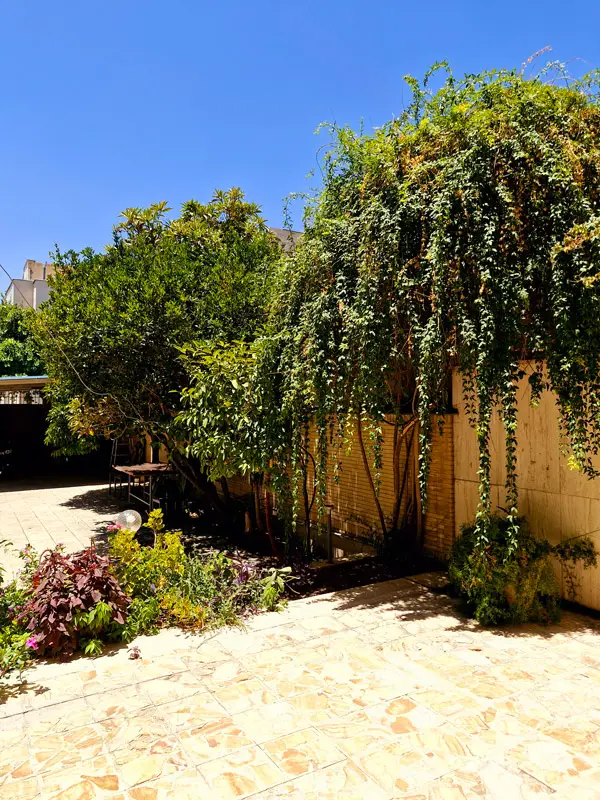 عکس های کمپ مطالعاتی ژرف اندیشان (شعبه 2) شیراز عکس های کمپ مطالعاتی ژرف اندیشان (شعبه 2) شیراز