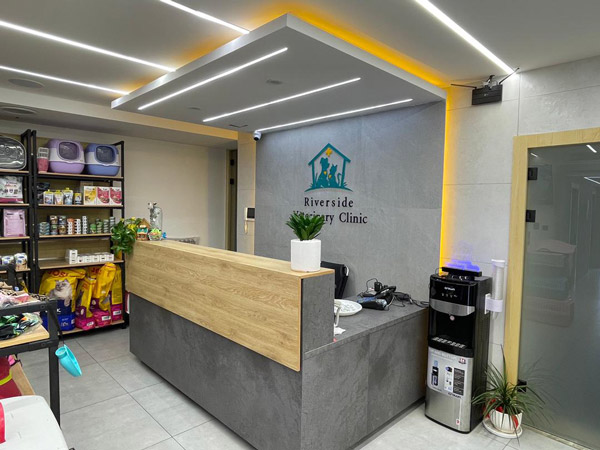 عکس های کلینیک تخصصی جراحی دامپزشکی ریورساید عکس های کلینیک تخصصی جراحی دامپزشکی ریورساید