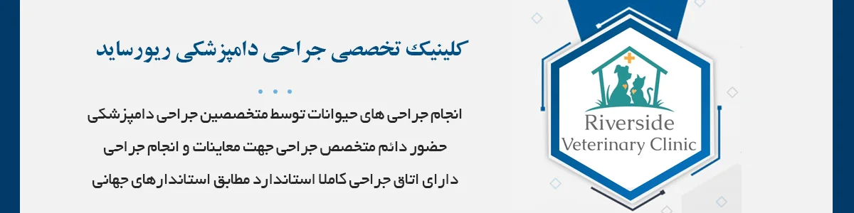 انجام جراحی های حیوانات توسط متخصصین جراحی دامپزشکی فارغ التحصیل دانشگاه شیراز
