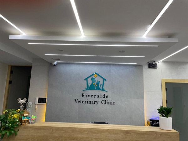 عکس های کلینیک تخصصی جراحی دامپزشکی ریورساید عکس های کلینیک تخصصی جراحی دامپزشکی ریورساید