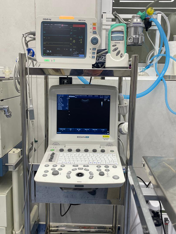 عکس های کلینیک تخصصی جراحی دامپزشکی ریورساید عکس های کلینیک تخصصی جراحی دامپزشکی ریورساید