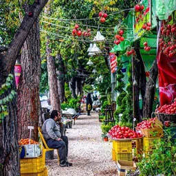 مشاغل قصردشت