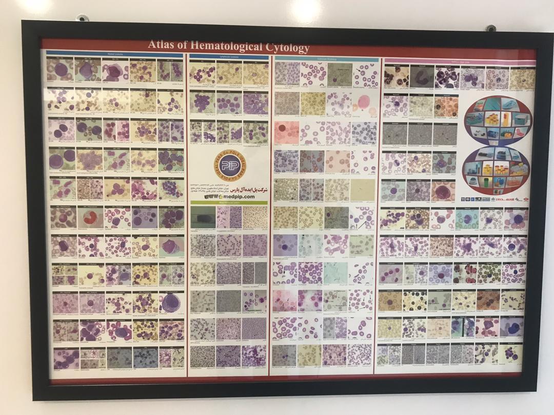 عکس های آزمایشگاه پاتوبیولوژی گیتی عکس های آزمایشگاه پاتوبیولوژی گیتی