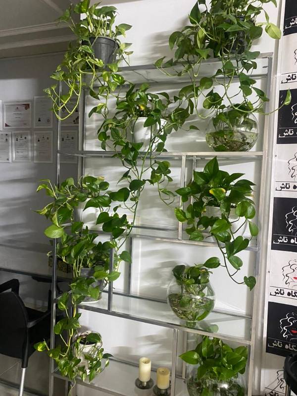 عکس های آموزشگاه مراقبت و زیبایی پوست تاش عکس های آموزشگاه مراقبت و زیبایی پوست تاش