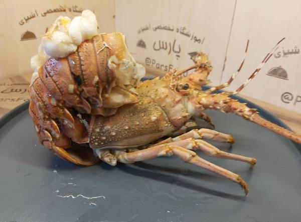 اموزش غذاهای دریایی ملل اموزش غذاهای دریایی ملل