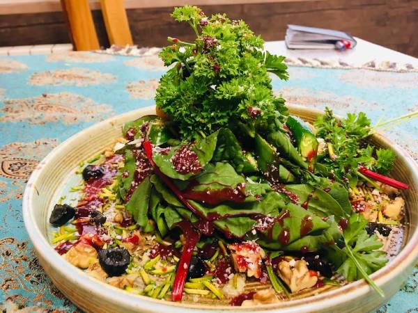 سالاد سالاد