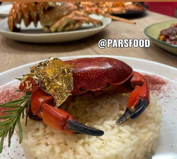 آموزش خرچنگ آموزش خرچنگ