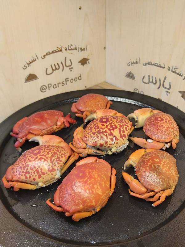 آموزش خرچنگ آموزش خرچنگ