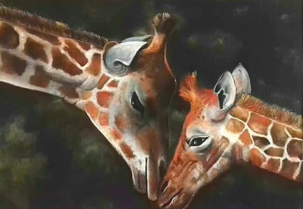 عکس های آموزشگاه هنری سایه روشن عکس های آموزشگاه هنری سایه روشن