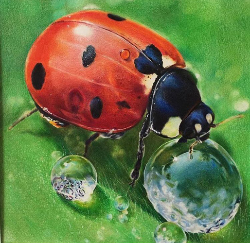 تکنیک مداد تکنیک مداد