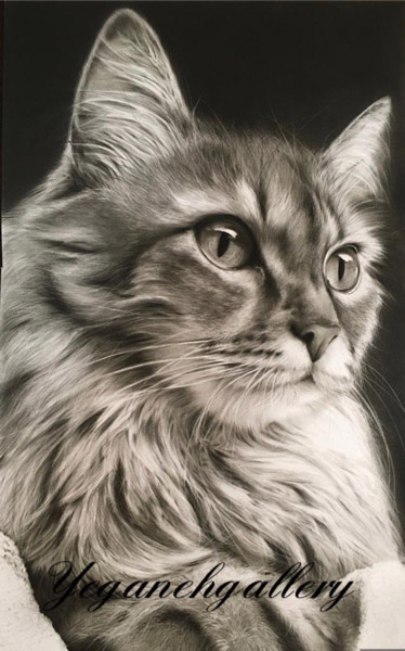 سبک هایپر رئال تکنیک سایه قلم سبک هایپر رئال تکنیک سایه قلم