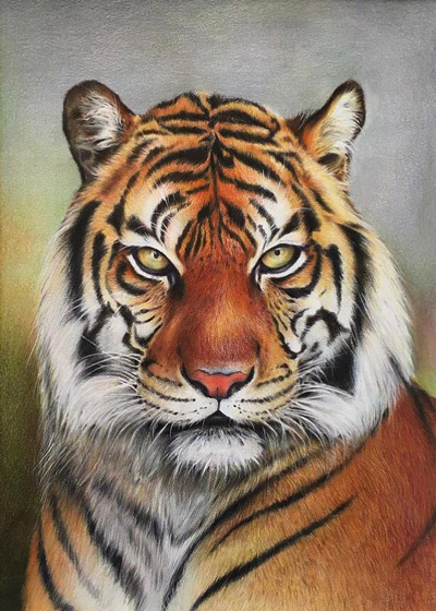 تکنیک مداد تکنیک مداد